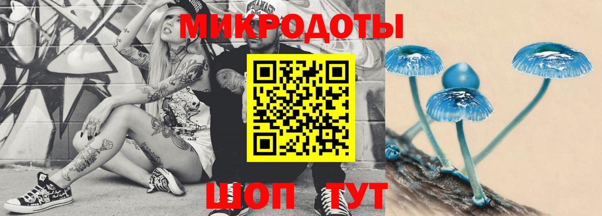 Каменск-Шахтинский  Псилоцибиновые грибы ЛСД  Галлюциногенные грибы ЛСД  Вход с VPN 